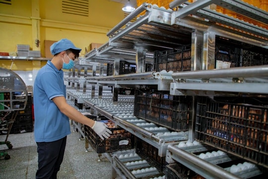 TP.HCM ban hành chính sách hỗ trợ lãi suất mới cho các dự án đầu tư ưu tiên TP.HCM ban hành chính sách hỗ trợ lãi suất mới cho các dự án đầu tư ưu tiên
