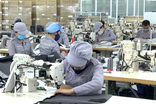 Gần 20 nghìn doanh nghiệp thành lập mới và quay lại hoạt động mỗi tháng Gần 20 nghìn doanh nghiệp thành lập mới và quay lại hoạt động mỗi tháng