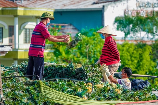Gỡ khó khăn cho doanh nghiệp Đồng bằng sông Cửu Long Gỡ khó khăn cho doanh nghiệp Đồng bằng sông Cửu Long