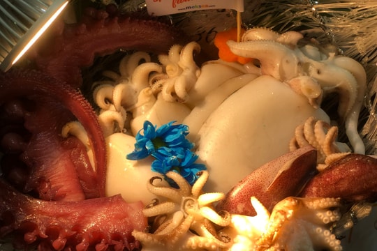 Hàn Quốc là thị trường tiêu thụ mực, bạch tuộc lớn nhất của Việt Nam Hàn Quốc là thị trường tiêu thụ mực, bạch tuộc lớn nhất của Việt Nam