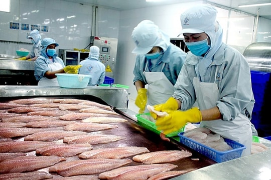 Mexico là thị trường nhập khẩu cá tra lớn thứ ba của Việt Nam Mexico là thị trường nhập khẩu cá tra lớn thứ ba của Việt Nam