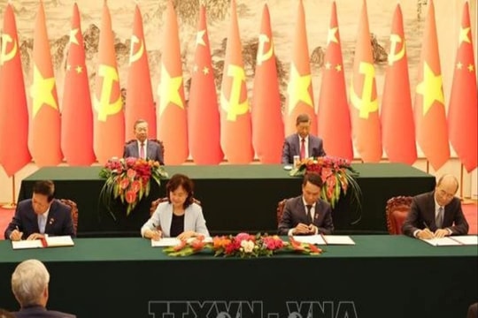 Sầu riêng đông lạnh, dừa tươi, cá sấu Việt Nam được xuất khẩu chính ngạch sang Trung Quốc