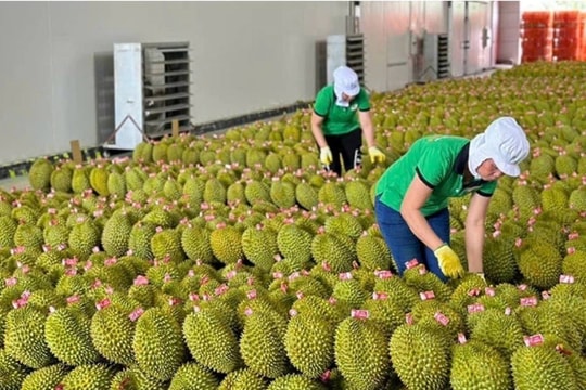 Thái Lan chi 123 triệu USD nhập rau quả Việt Nam