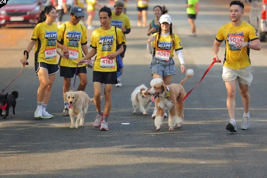 TP.HCM: Gần 2.000 vận động viên và thú cưng tham gia giải chạy SmartHeart Presents Me&Pet Run 2024