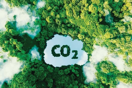 Cần chiến lược quản lý thị trường tín chỉ carbon Cần chiến lược quản lý thị trường tín chỉ carbon