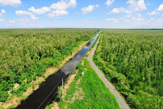 Triển khai kế hoạch thực hiện công tác quản lý tín chỉ carbon Triển khai kế hoạch thực hiện công tác quản lý tín chỉ carbon