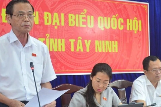 Gỡ khó cho "mía cây" được nhập qua cửa khẩu phụ Gỡ khó cho "mía cây" được nhập qua cửa khẩu phụ