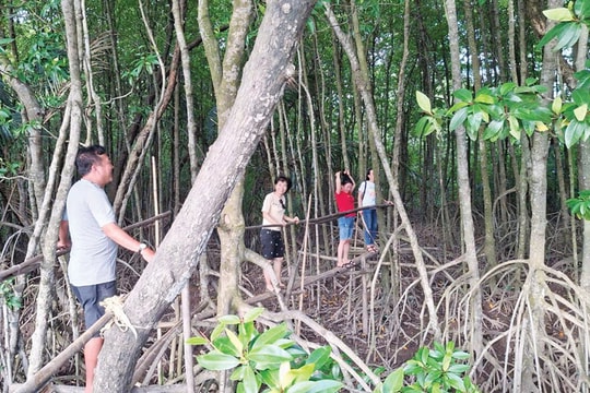 Cù lao Dung: Một khu vườn cổ tích Cù lao Dung: Một khu vườn cổ tích