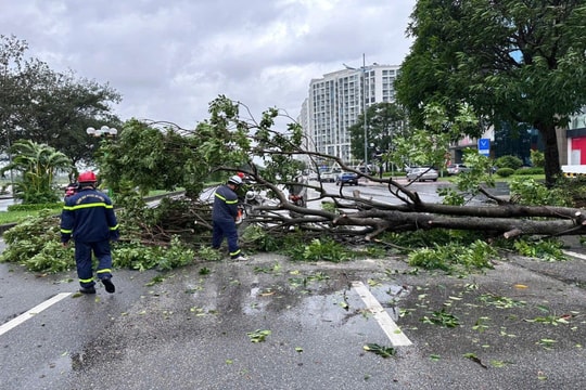 TP.HCM cử nhiều lực lượng hỗ trợ các địa phương khắc phục hậu quả bão số 3 TP.HCM cử nhiều lực lượng hỗ trợ các địa phương khắc phục hậu quả bão số 3