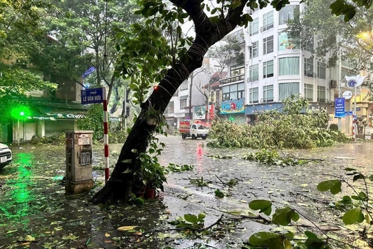 Ngân hàng Nhà nước hỗ trợ khách hàng khắc phục hậu quả sau bão số 3 Ngân hàng Nhà nước hỗ trợ khách hàng khắc phục hậu quả sau bão số 3