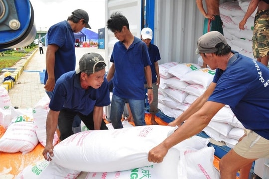 Hỗ trợ 200 tấn gạo cho 14 địa phương bị ảnh hưởng bão số 3 Hỗ trợ 200 tấn gạo cho 14 địa phương bị ảnh hưởng bão số 3