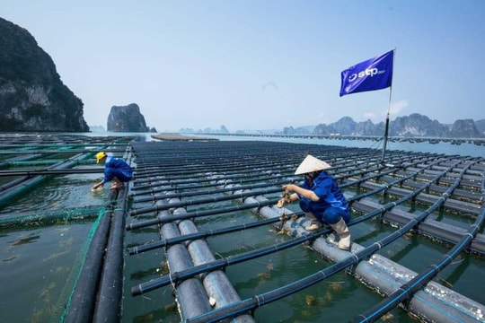 Doanh nghiệp có thể được thêm vào đối tượng được hỗ trợ do thiên tai, dịch bệnh