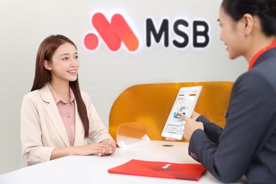 MSB đồng hành cùng doanh nghiệp bị ảnh hưởng bão Yagi MSB đồng hành cùng doanh nghiệp bị ảnh hưởng bão Yagi
