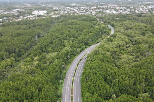 Nghiên cứu làm nút giao nối cao tốc Bến Lức - Long Thành với huyện Cần Giờ