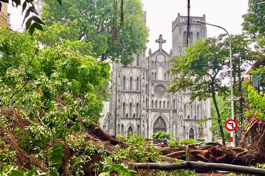 Citi hỗ trợ 80.000 USD khắc phục hậu quả bão Yagi tại Việt Nam