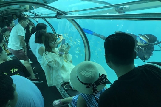 Gia hạn thời gian thí điểm hoạt động dịch vụ tàu lặn tại vịnh Nha Trang Gia hạn thời gian thí điểm hoạt động dịch vụ tàu lặn tại vịnh Nha Trang