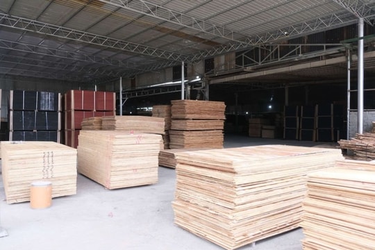 Bộ Công Thương siết chặt quản lý xuất khẩu gỗ dán sang Mỹ Bộ Công Thương siết chặt quản lý xuất khẩu gỗ dán sang Mỹ