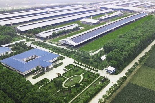 Gia tăng giá trị thương hiệu Việt bằng đầu tư xanh Gia tăng giá trị thương hiệu Việt bằng đầu tư xanh