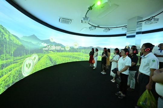 Tân Hiệp Phát và ba mươi năm kiến tạo giá trị, phụng sự xã hội