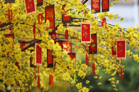 Trình phương án nghỉ Tết Nguyên đán 2025 kéo dài 9 ngày