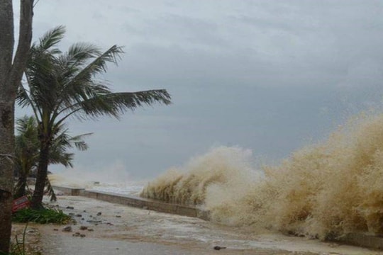 TP.HCM chủ động ứng phó với bão Trà Mi TP.HCM chủ động ứng phó với bão Trà Mi