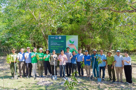 Hợp tác triển khai các dự án trồng và bảo tồn rừng, cùng người dùng góp phần giảm phát thải carbon Hợp tác triển khai các dự án trồng và bảo tồn rừng, cùng người dùng góp phần giảm phát thải carbon
