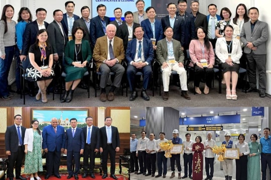 Hoạt động liên quan đến kinh tế của lãnh đạo TP.HCM tuần 4-10/11