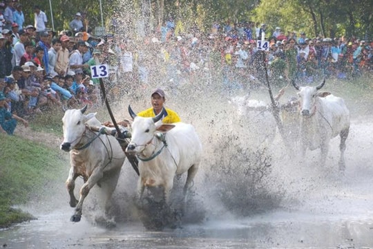 An Giang: Điểm đến hấp dẫn của các nhà đầu tư chiến lược