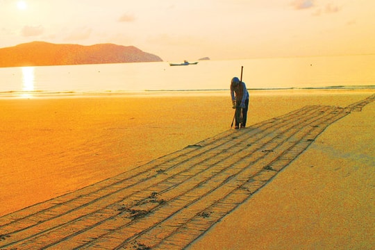 Đến Côn Đảo đắm mình trong thiên nhiên hoang sơ