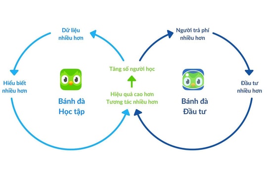 Duolingo: Từ app miễn phí đến tài sản tỷ đô Duolingo: Từ app miễn phí đến tài sản tỷ đô