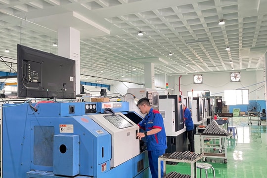 HAMEE gửi tâm thư kêu cứu lãnh đạo TP.HCM HAMEE gửi tâm thư kêu cứu lãnh đạo TP.HCM