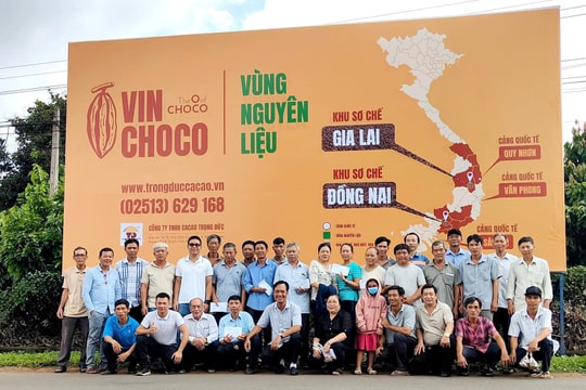 Ca cao Việt Nam: Cần đầu tư cho thương hiệu