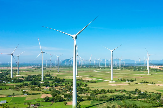 Trung Nam Group mỗi ngày lỗ gần 8 tỷ đồng