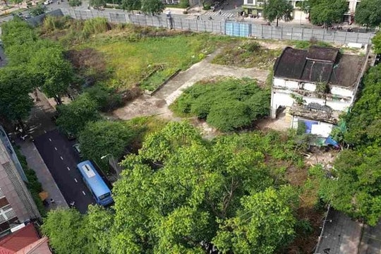 TP.HCM còn hơn 1.000 địa chỉ nhà đất công đang bỏ trống