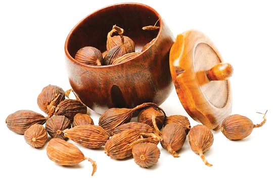 Gia vị quí hiếm do núi rừng ban tặng