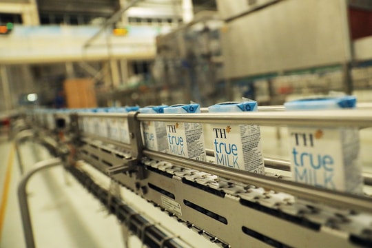 ‎TH true MILK với quy trình vắt sữa khép kín hoàn hảo