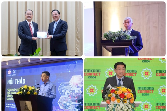 Hoạt động của lãnh đạo TP.HCM tuần 16-22/12