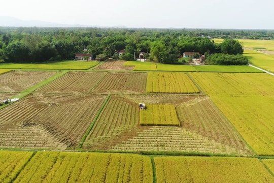 Đề xuất kéo dài miễn thuế sử dụng đất nông nghiệp đến hết năm 2030