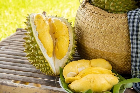 Xuất khẩu sầu riêng đạt hơn 3,1 tỷ USD Xuất khẩu sầu riêng đạt hơn 3,1 tỷ USD