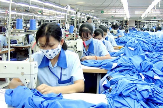 Những thành tựu kinh tế nổi bật của TP.HCM năm 2024 Những thành tựu kinh tế nổi bật của TP.HCM năm 2024