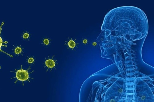 Bộ Y tế thông tin virus gây viêm phổi trên người tại Trung Quốc Bộ Y tế thông tin virus gây viêm phổi trên người tại Trung Quốc