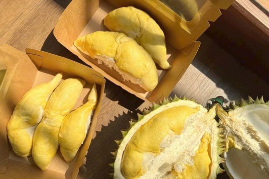 Lượng sầu riêng Việt xuất bán sang Trung Quốc tăng gấp rưỡi Lượng sầu riêng Việt xuất bán sang Trung Quốc tăng gấp rưỡi