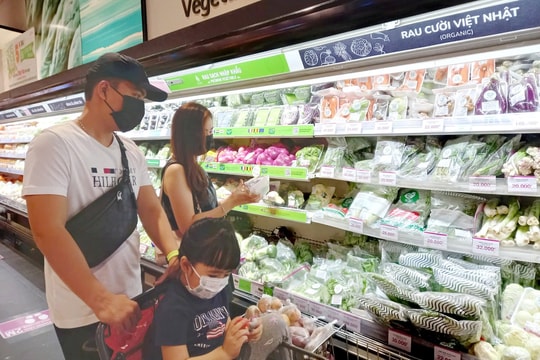 Bình Dương tìm cách phát triển bền vững thay vì các giải pháp tình thế