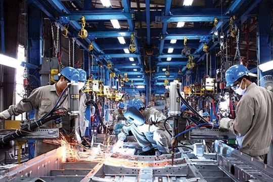 Hơn 22.700 doanh nghiệp quay trở lại hoạt động trong tháng 1/2025