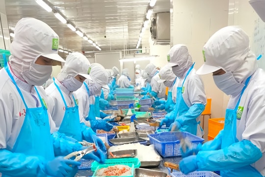 Doanh nghiệp sản xuất tăng tốc đầu năm, kỳ vọng năm 2025 khởi sắc Doanh nghiệp sản xuất tăng tốc đầu năm, kỳ vọng năm 2025 khởi sắc