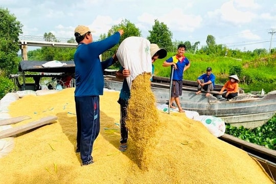 Việt Nam sẽ có trên 7,5 triệu tấn gạo để xuất khẩu Việt Nam sẽ có trên 7,5 triệu tấn gạo để xuất khẩu