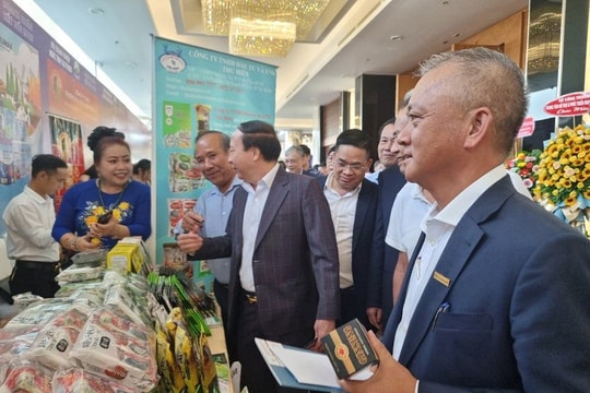 TP.HCM uỷ quyền quản lý Hội cho Sở Nội vụ