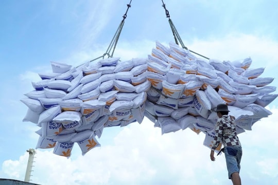 Việt Nam sắp xuất khẩu 100.000 tấn gạo trắng sang Bangladesh Việt Nam sắp xuất khẩu 100.000 tấn gạo trắng sang Bangladesh