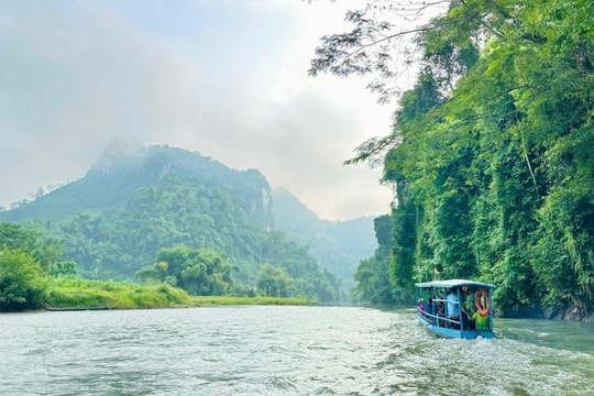 Malaysia đặt mục tiêu đón gần 500.000 du khách Việt Nam trong năm 2025 Malaysia đặt mục tiêu đón gần 500.000 du khách Việt Nam trong năm 2025