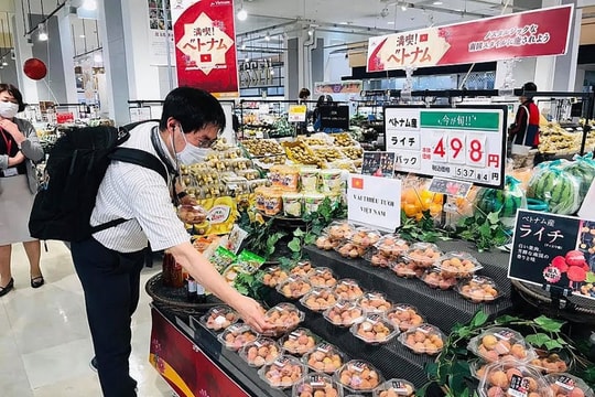 Sắp tổ chức Đoàn giao dịch thương mại tại Nhật Bản 2025